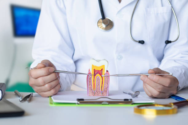 Best Emergency Dentist for Knocked-Out Tooth in Hazel Green, AL
